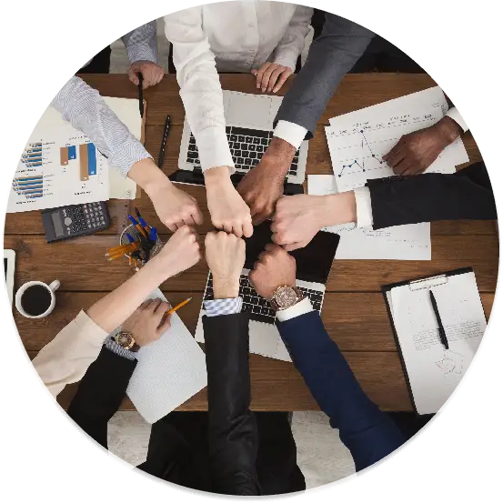 About Our Company